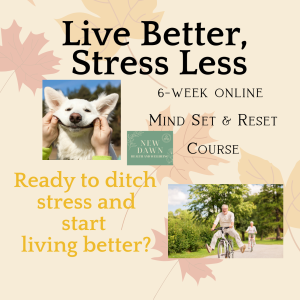 online stress management programme